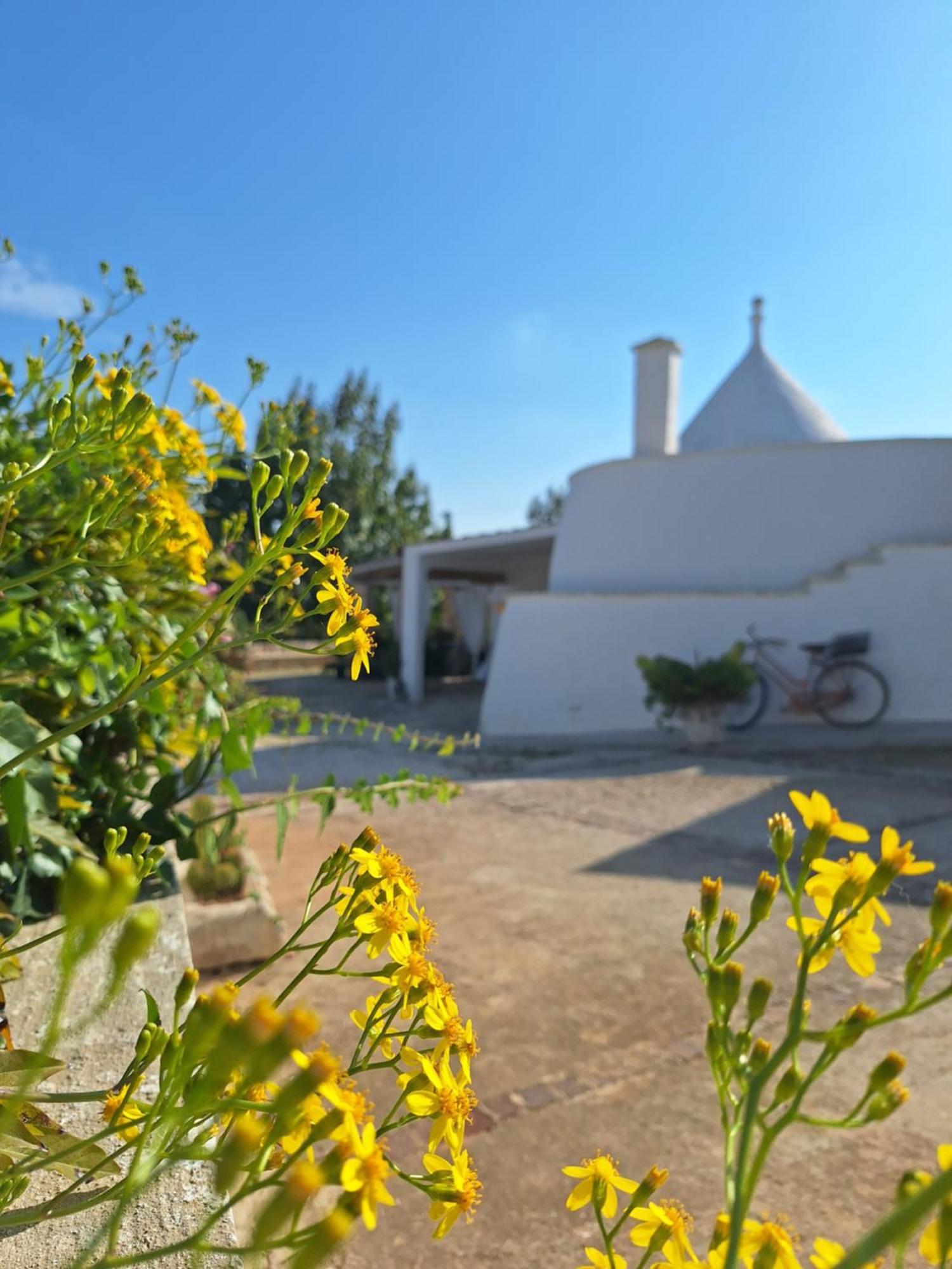 Holiday Home Trullo Antico Ostuni Dış mekan fotoğraf