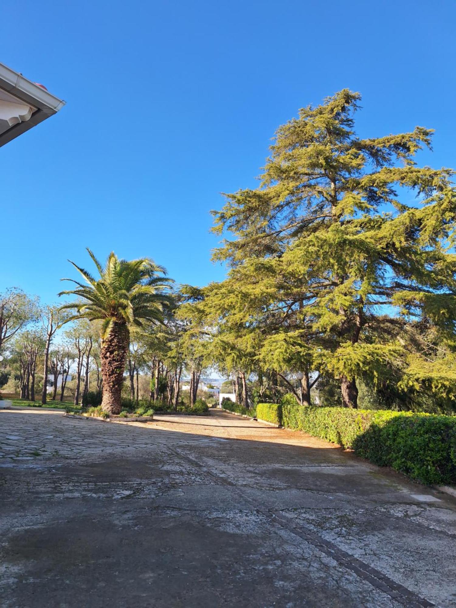 Holiday Home Trullo Antico Ostuni Dış mekan fotoğraf